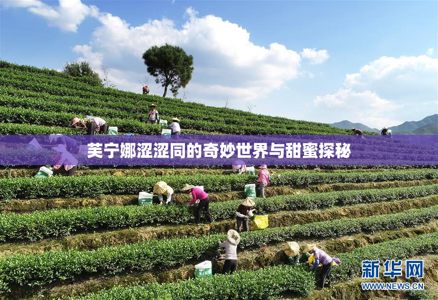 芙宁娜涩涩同的奇妙世界与甜蜜探秘