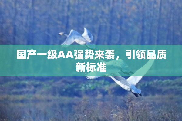 国产一级AA强势来袭，引领品质新标准