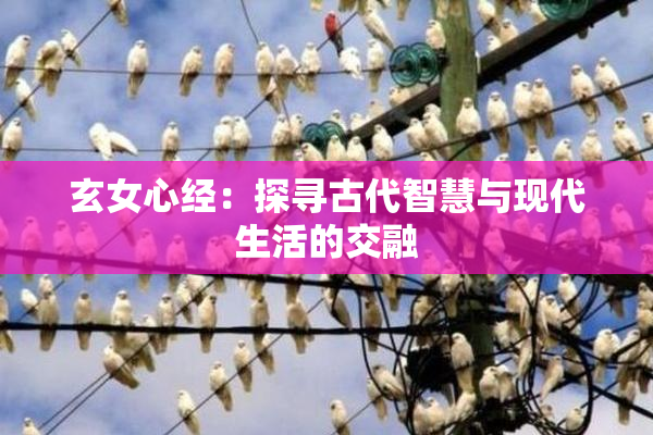 玄女心经：探寻古代智慧与现代生活的交融