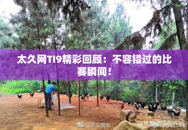 太久网TI9精彩回顾：不容错过的比赛瞬间！