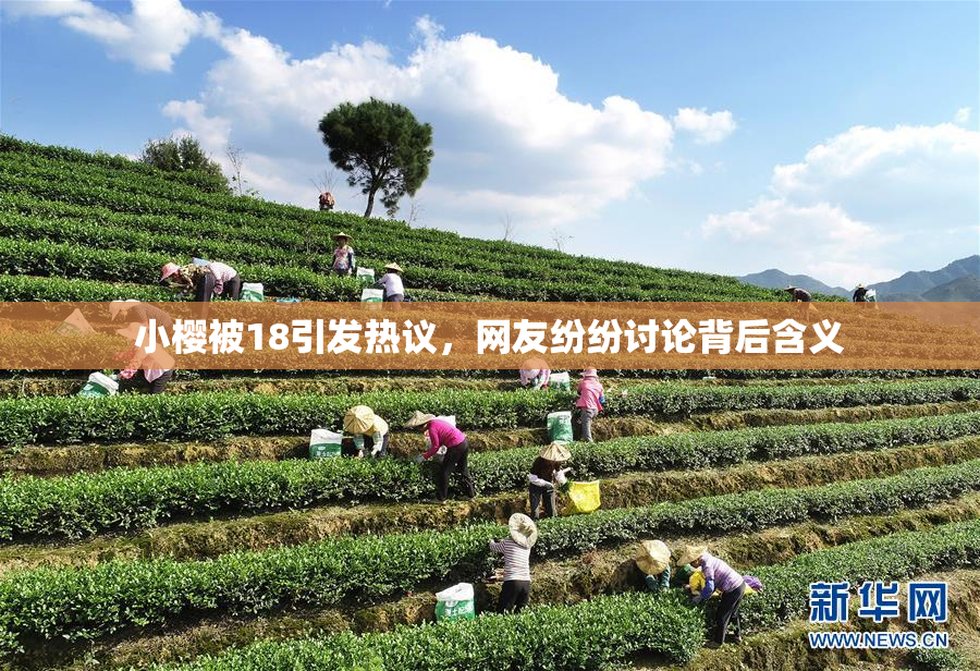 小樱被18引发热议，网友纷纷讨论背后含义