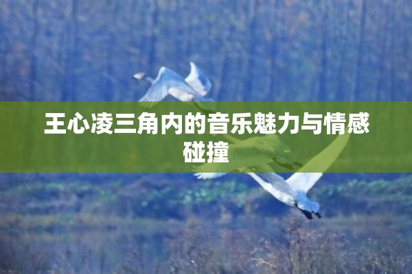 王心凌三角内的音乐魅力与情感碰撞