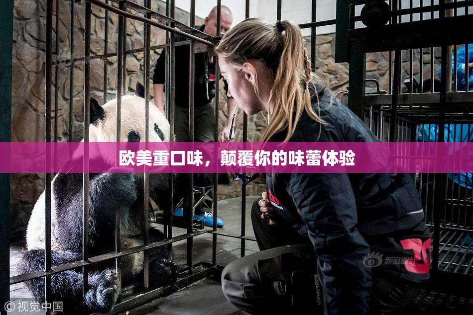 欧美重口味，颠覆你的味蕾体验