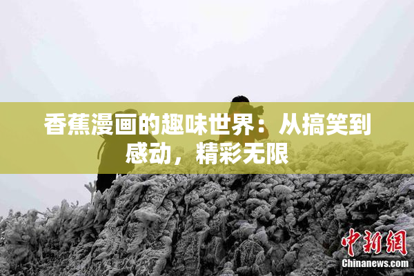 香蕉漫画的趣味世界：从搞笑到感动，精彩无限
