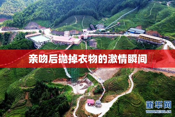 亲吻后抛掉衣物的激情瞬间
