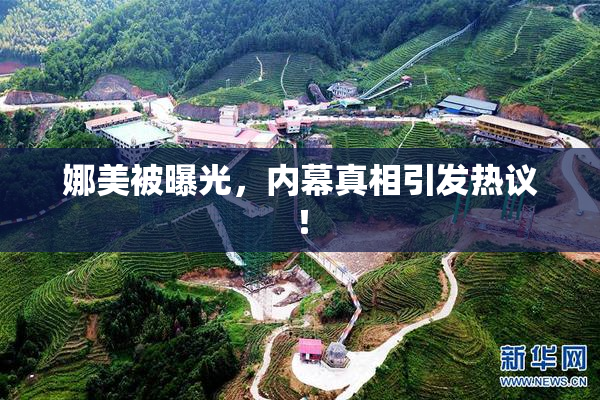 娜美被曝光，内幕真相引发热议！