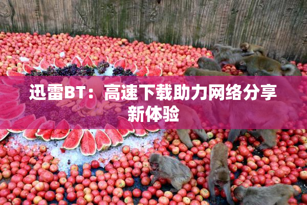 迅雷BT：高速下载助力网络分享新体验