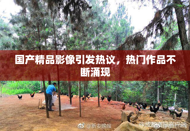 国产精品影像引发热议，热门作品不断涌现