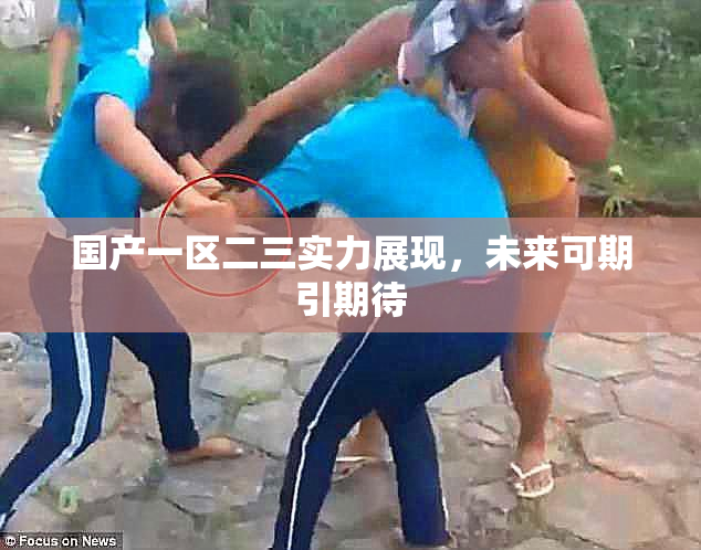 国产一区二三实力展现，未来可期引期待