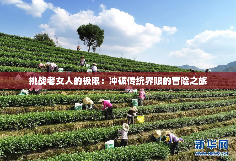 挑战老女人的极限：冲破传统界限的冒险之旅