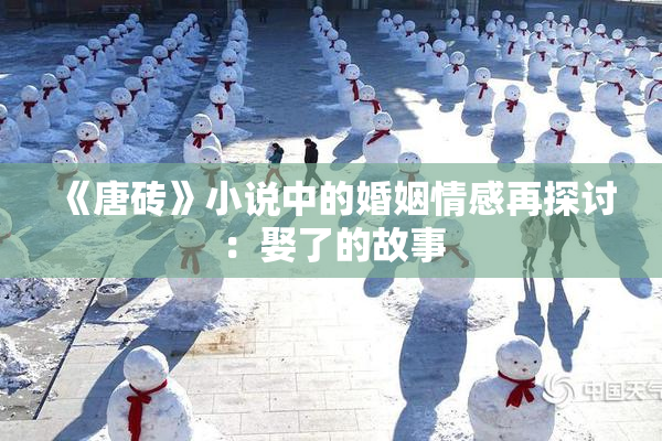 《唐砖》小说中的婚姻情感再探讨：娶了的故事