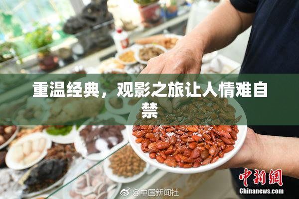 重温经典，观影之旅让人情难自禁