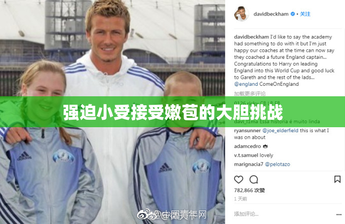 强迫小受接受嫩苞的大胆挑战
