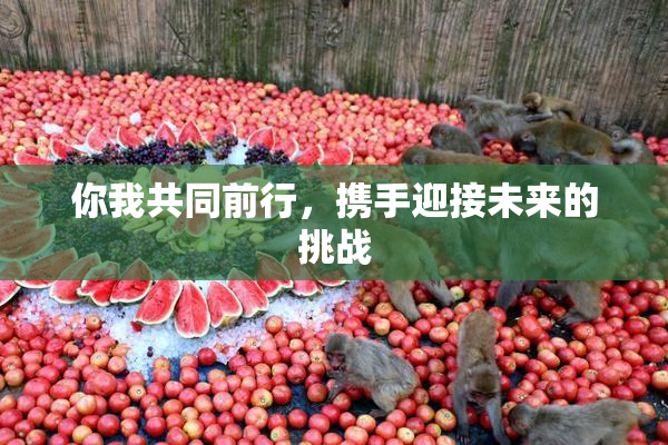 你我共同前行，携手迎接未来的挑战