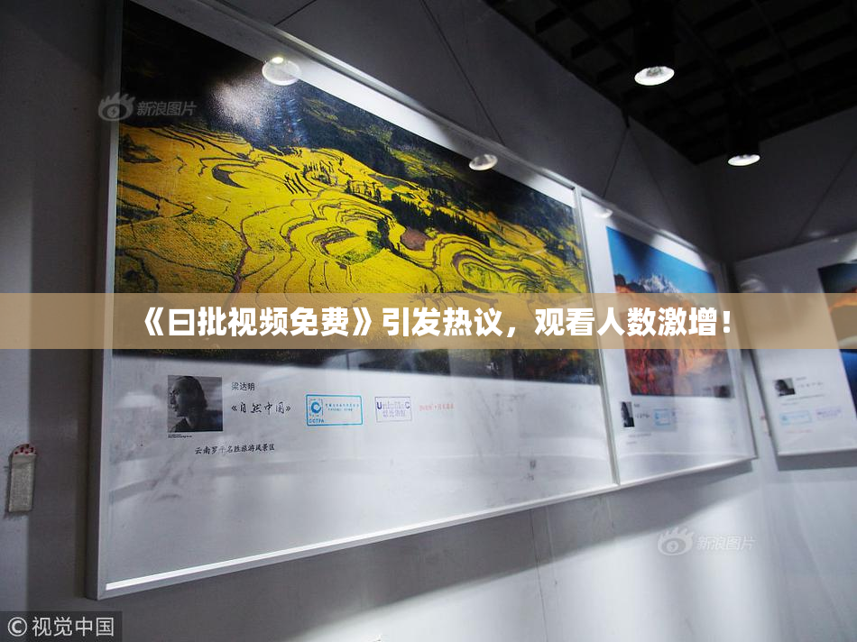 《曰批视频免费》引发热议，观看人数激增！