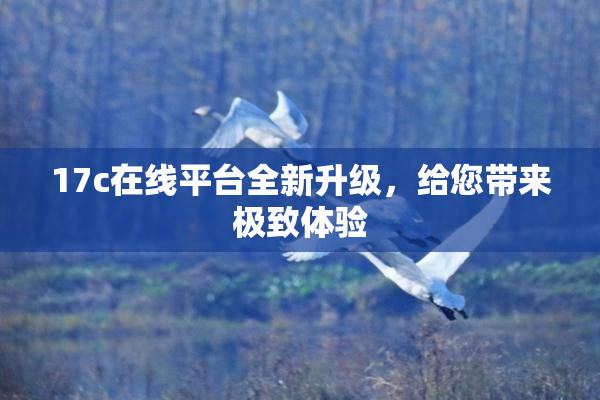 17c在线平台全新升级，给您带来极致体验