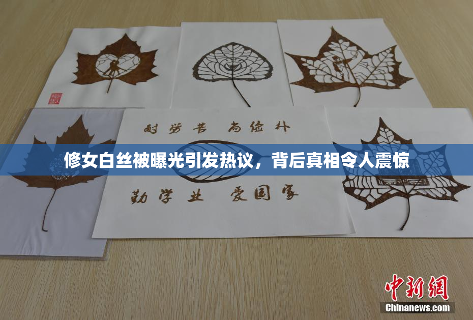 修女白丝被曝光引发热议，背后真相令人震惊