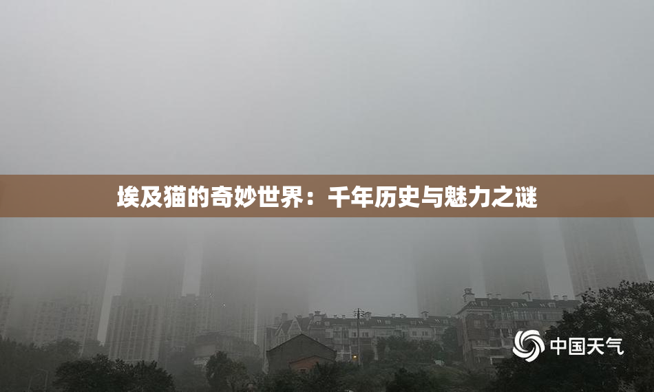 埃及猫的奇妙世界：千年历史与魅力之谜