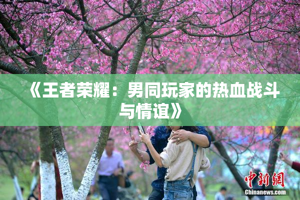 《王者荣耀：男同玩家的热血战斗与情谊》