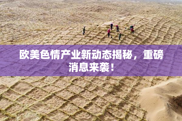 欧美色情产业新动态揭秘，重磅消息来袭！