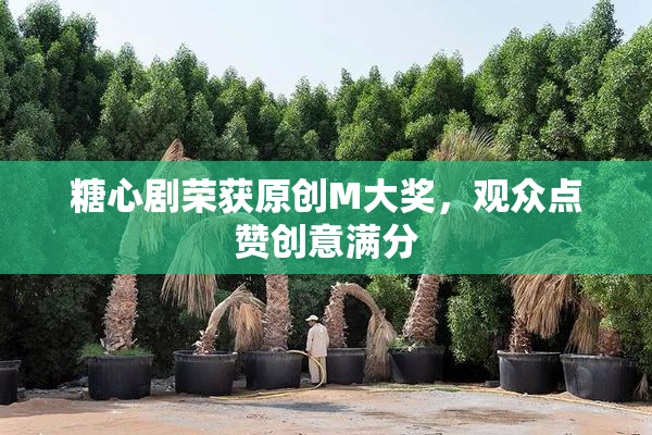 糖心剧荣获原创M大奖，观众点赞创意满分