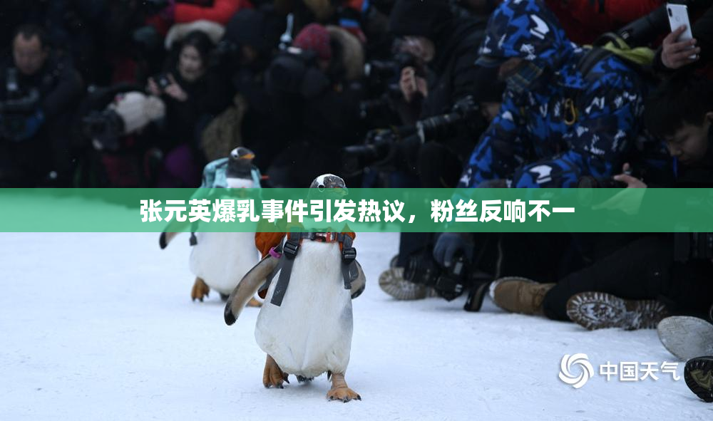 张元英爆乳事件引发热议，粉丝反响不一