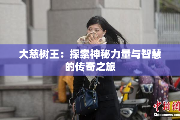 大慈树王：探索神秘力量与智慧的传奇之旅
