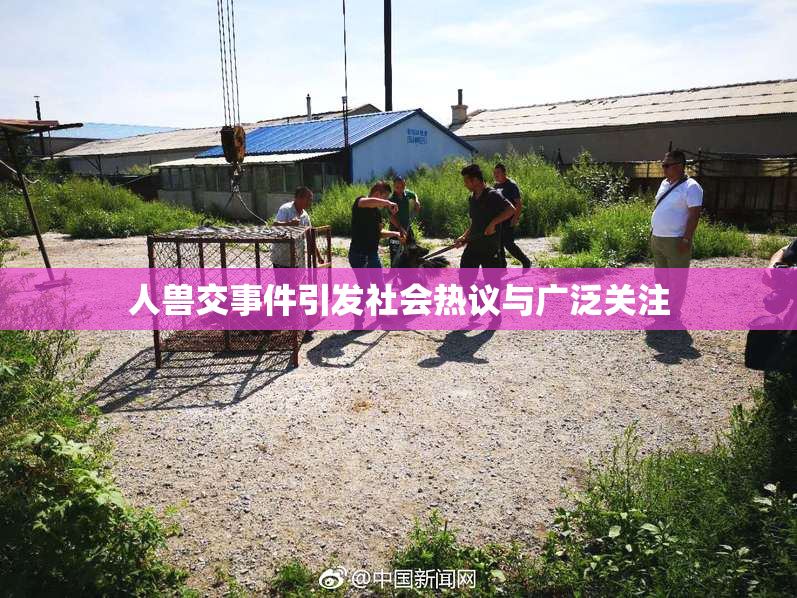 人兽交事件引发社会热议与广泛关注