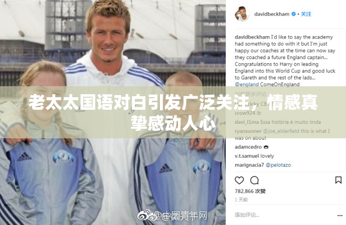 老太太国语对白引发广泛关注，情感真挚感动人心