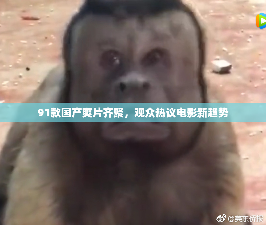 91款国产爽片齐聚，观众热议电影新趋势