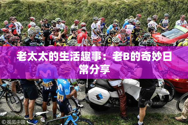 老太太的生活趣事：老B的奇妙日常分享