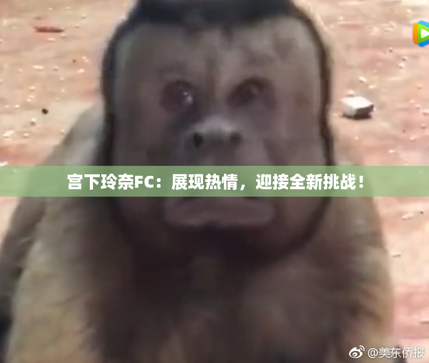 宫下玲奈FC：展现热情，迎接全新挑战！