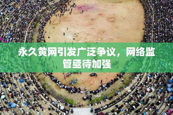 永久黄网引发广泛争议，网络监管亟待加强