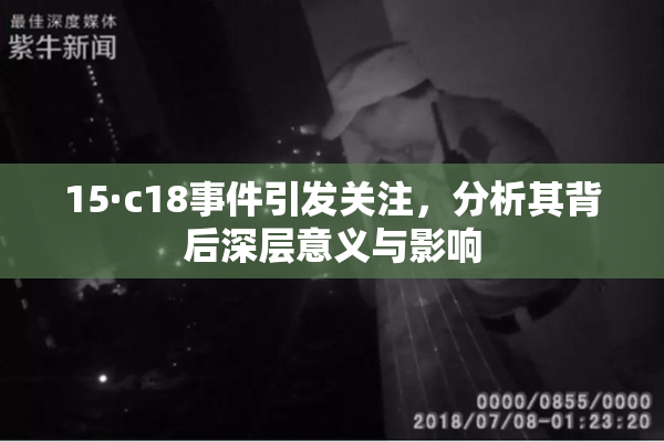 15·c18事件引发关注，分析其背后深层意义与影响