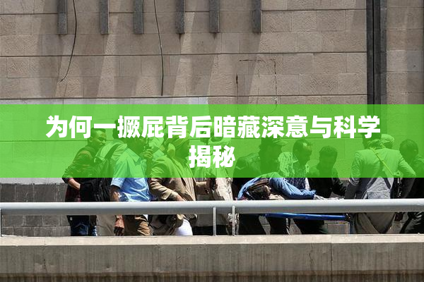 为何一撅屁背后暗藏深意与科学揭秘