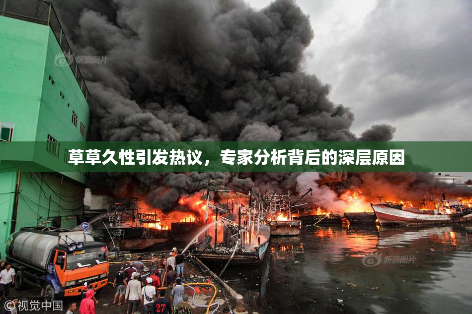 草草久性引发热议，专家分析背后的深层原因