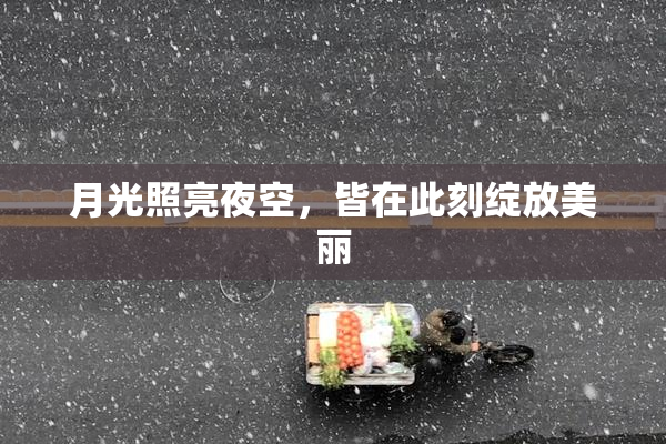 月光照亮夜空，皆在此刻绽放美丽