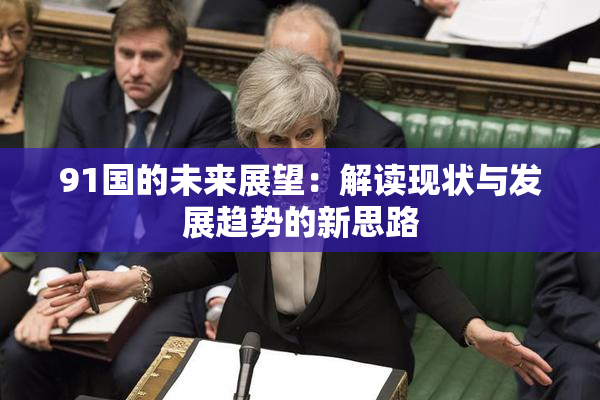 91国的未来展望：解读现状与发展趋势的新思路