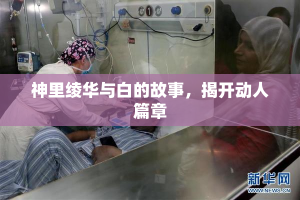 神里绫华与白的故事，揭开动人篇章