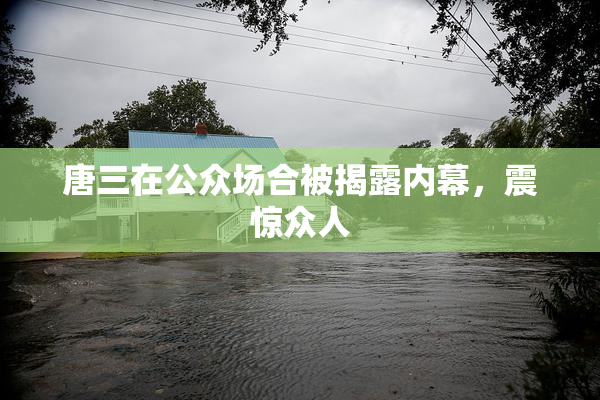 唐三在公众场合被揭露内幕，震惊众人