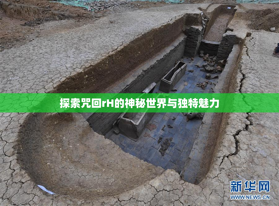 探索咒回rH的神秘世界与独特魅力