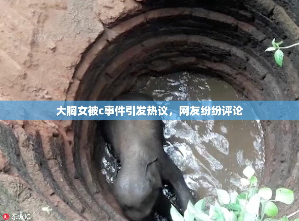 大胸女被c事件引发热议，网友纷纷评论