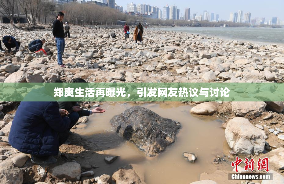 郑爽生活再曝光，引发网友热议与讨论