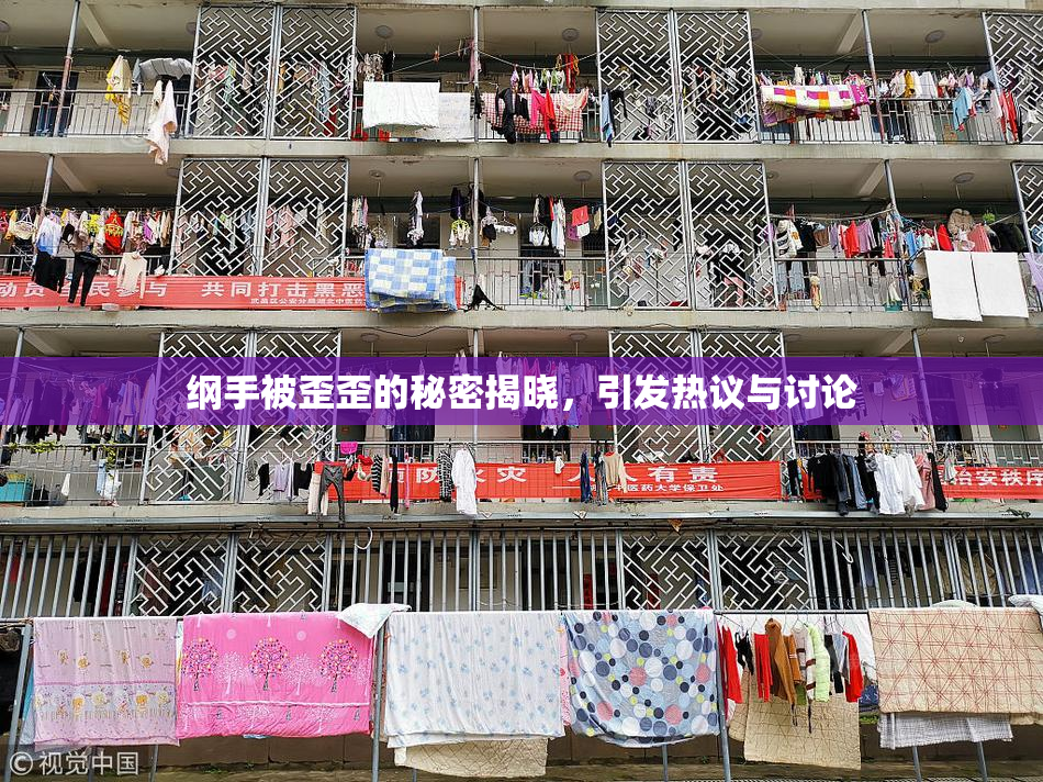 纲手被歪歪的秘密揭晓，引发热议与讨论