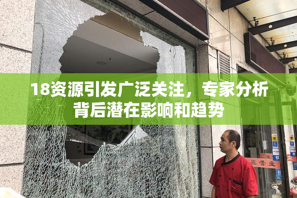 18资源引发广泛关注，专家分析背后潜在影响和趋势