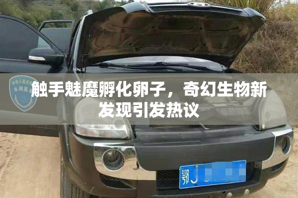 触手魅魔孵化卵子，奇幻生物新发现引发热议
