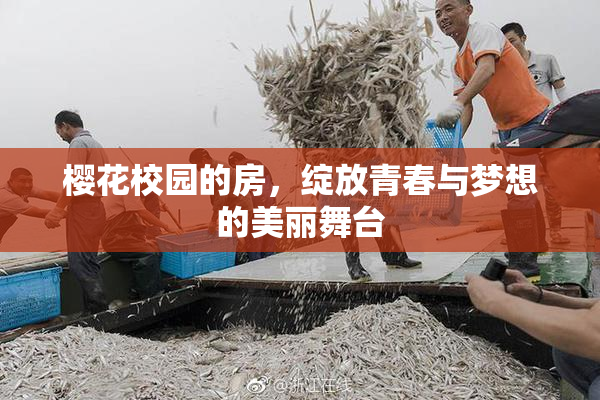 樱花校园的房，绽放青春与梦想的美丽舞台