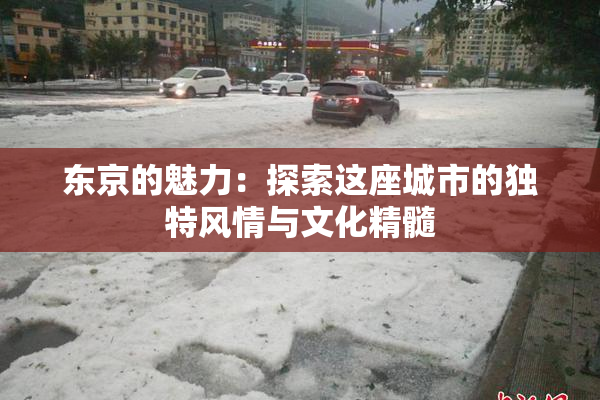东京的魅力：探索这座城市的独特风情与文化精髓