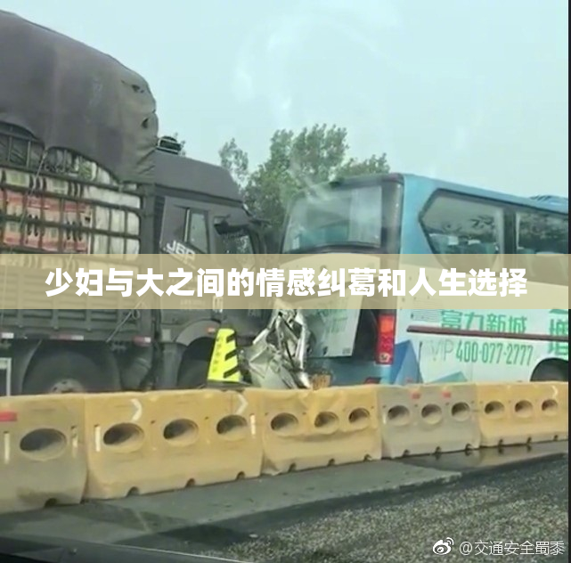 少妇与大之间的情感纠葛和人生选择