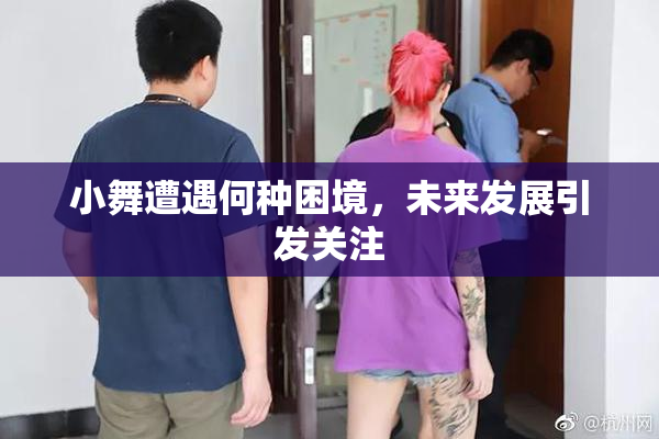 小舞遭遇何种困境，未来发展引发关注